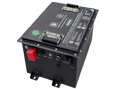 Pin Lithium Lifepo4 Greentech 51,2V 119Ah cho xe điện từ 2-6 chỗ